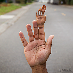 FINGER HANDS FOR FINGER HANDS - sold individually