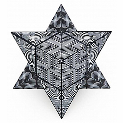 Shashibo - The Shape Shifting Box - -Black & White