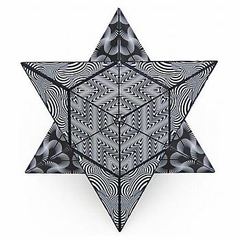 Shashibo - The Shape Shifting Box - -Black & White