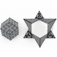 Shashibo - The Shape Shifting Box - -Black & White