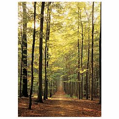 1000 Piece Forest Path Puzzle