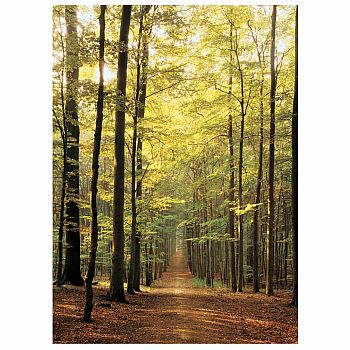 1000 Piece Forest Path Puzzle