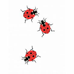 LADYBUGS TATTOO