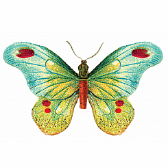 BUTTERFLY 1 TATTOO