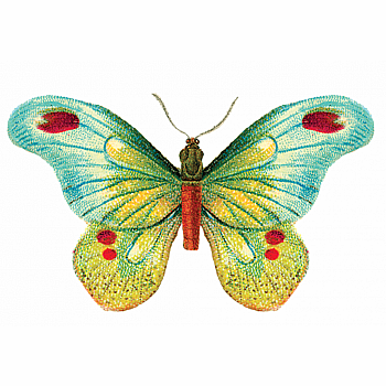 BUTTERFLY 1 TATTOO