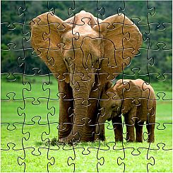 T ELEPHANTS - Zen Puzzle