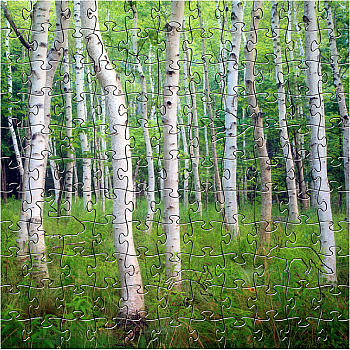 T ACADIA BIRCH - Zen Puzzle
