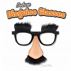 CLASSIC DISGUISE GLASSES