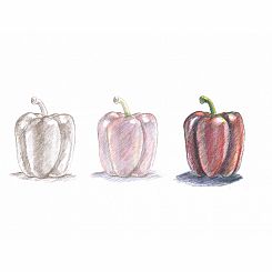 DO ART COLOR PENCIL ART