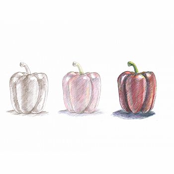 DO ART COLOR PENCIL ART