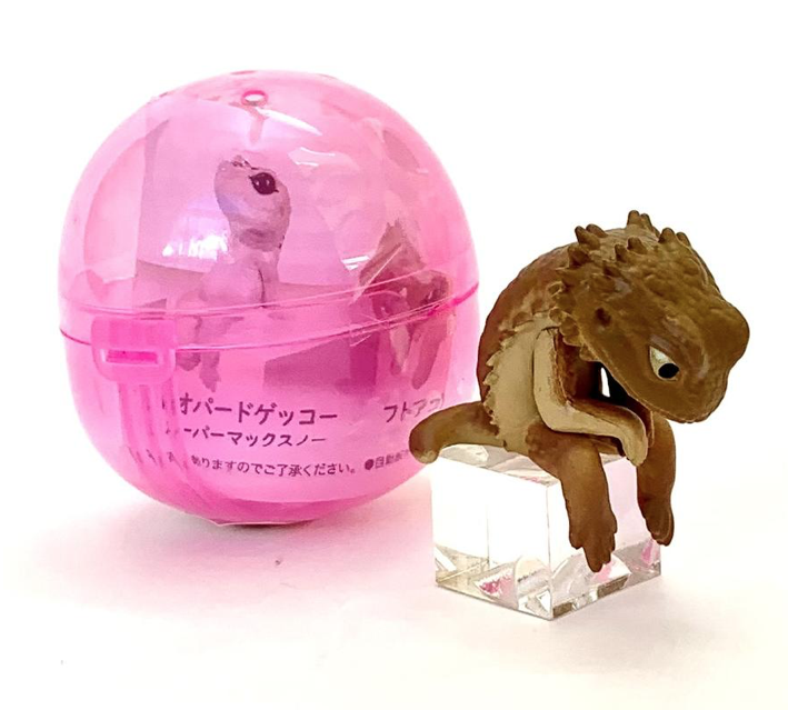 SITTING FROG/LIZARD CAPSULE The Toy Box