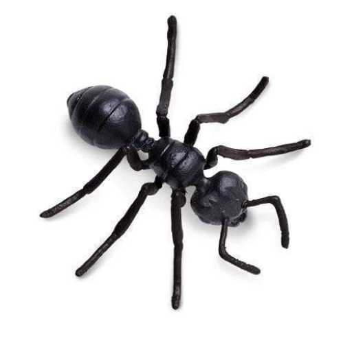 GLM ANT The Toy Box