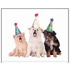 PARTY DOGS STICKERS
