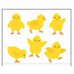 CHICKS STICKERS