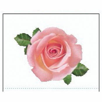 PINK ROSE STICKERS