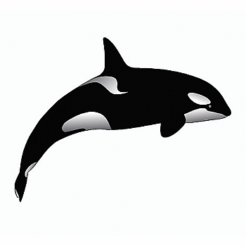 SM ORCA STICKER
