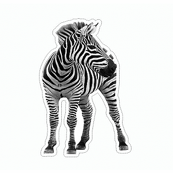 SM ZEBRA STICKER