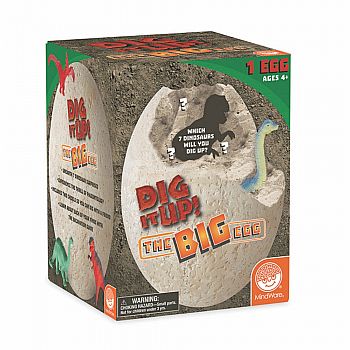 Dig It Up! The Big Egg