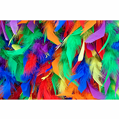 Chandelle Feather Boas