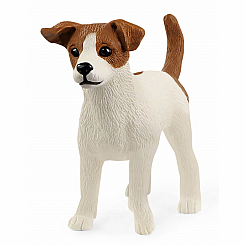 JACK RUSSELL TERRIER