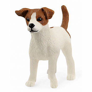 JACK RUSSELL TERRIER