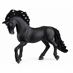 PURA RAZA ESPANOLA STALLION