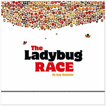 THE LADYBUG RACE