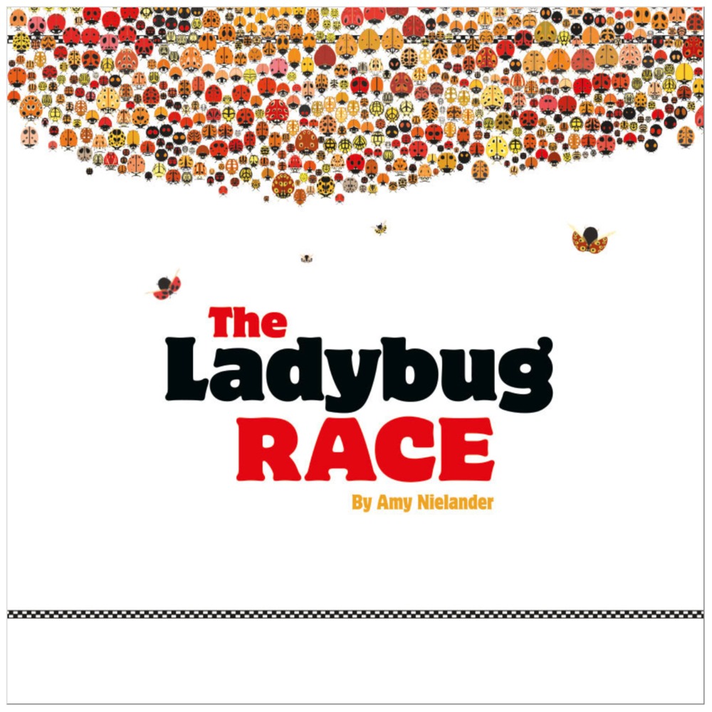 THE LADYBUG RACE