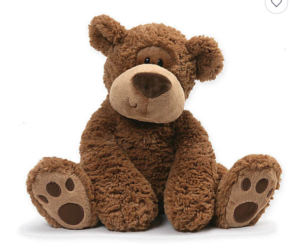 Grahm Bear 18" | Gund