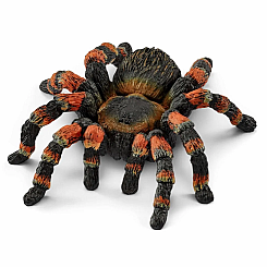 TARANTULA