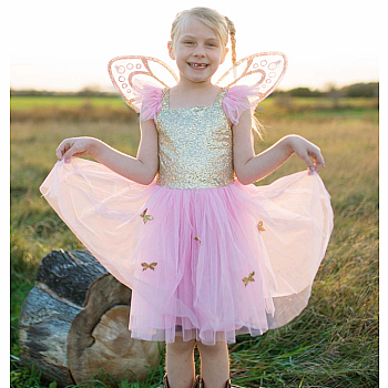 GOLD BUTTERFLY DRESS & WINGS