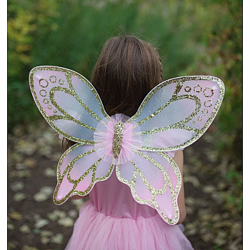 GOLD BUTTERFLY DRESS & WINGS