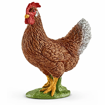 HEN