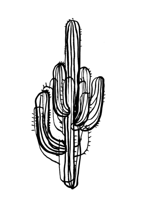 SAGUARO CACTUS TATTOO - The Toy Box