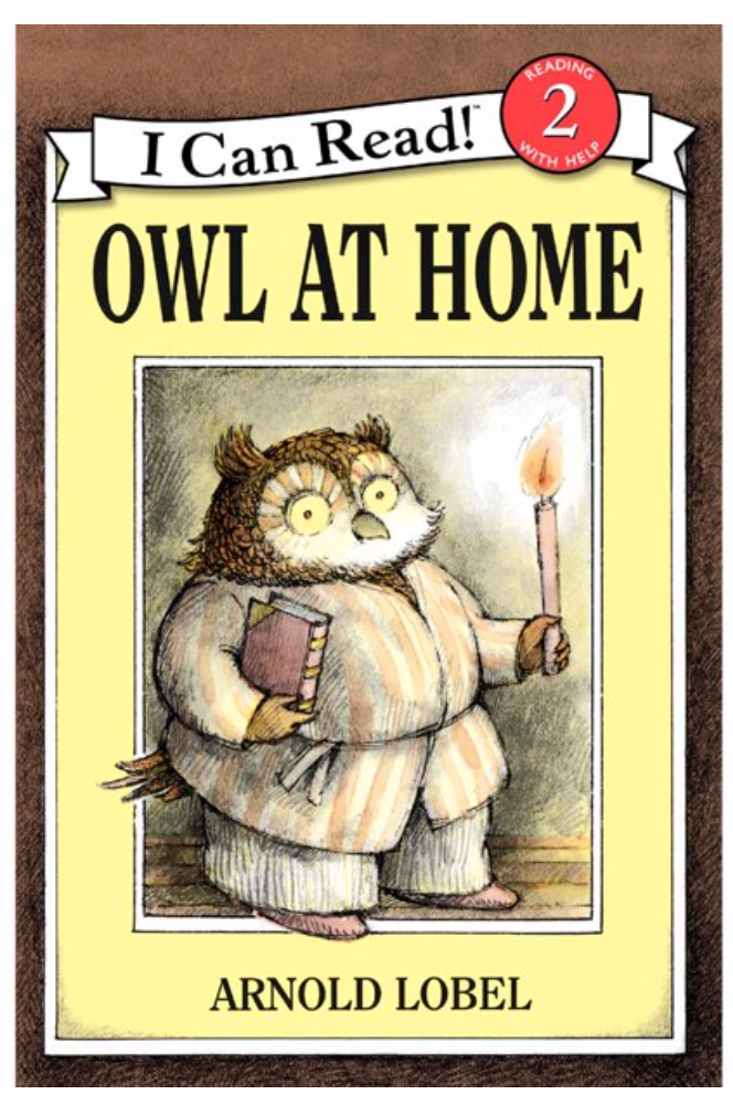 ICR OWL AT HOME