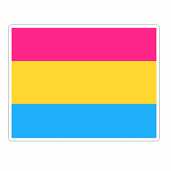 LG PAN PRIDE FLAG