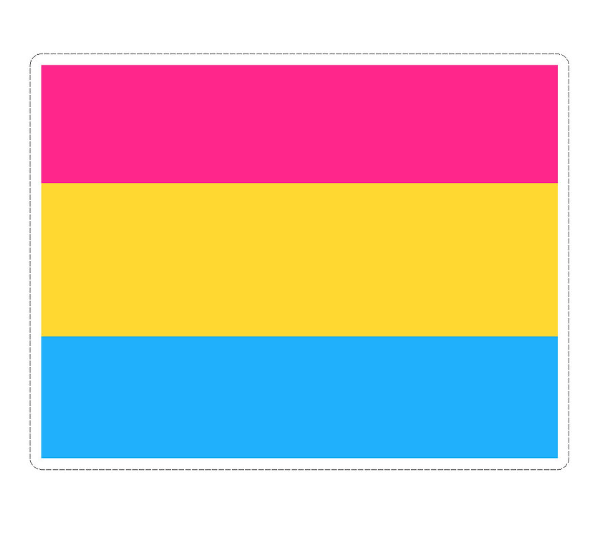 LG PAN PRIDE FLAG