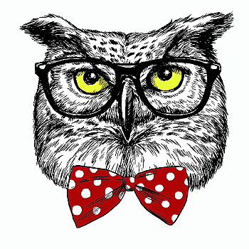 SM OWL IN GLASSES
