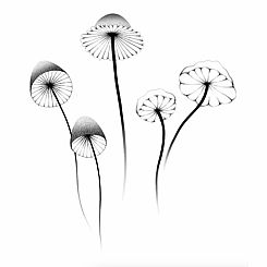 MUSHROOMS TATTOO
