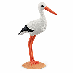 Stork