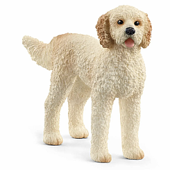 GOLDENDOODLE