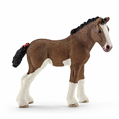 Clydesdale Foal