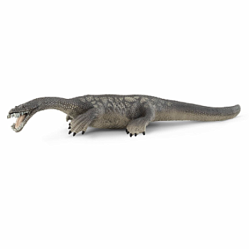 Nothosaurus