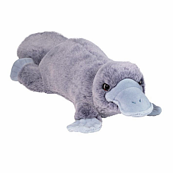 Allie Platypus Soft