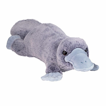 Allie Platypus Soft