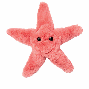 Coral Starfish