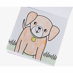 Carry Along Coloring Book Set - Pet Pals