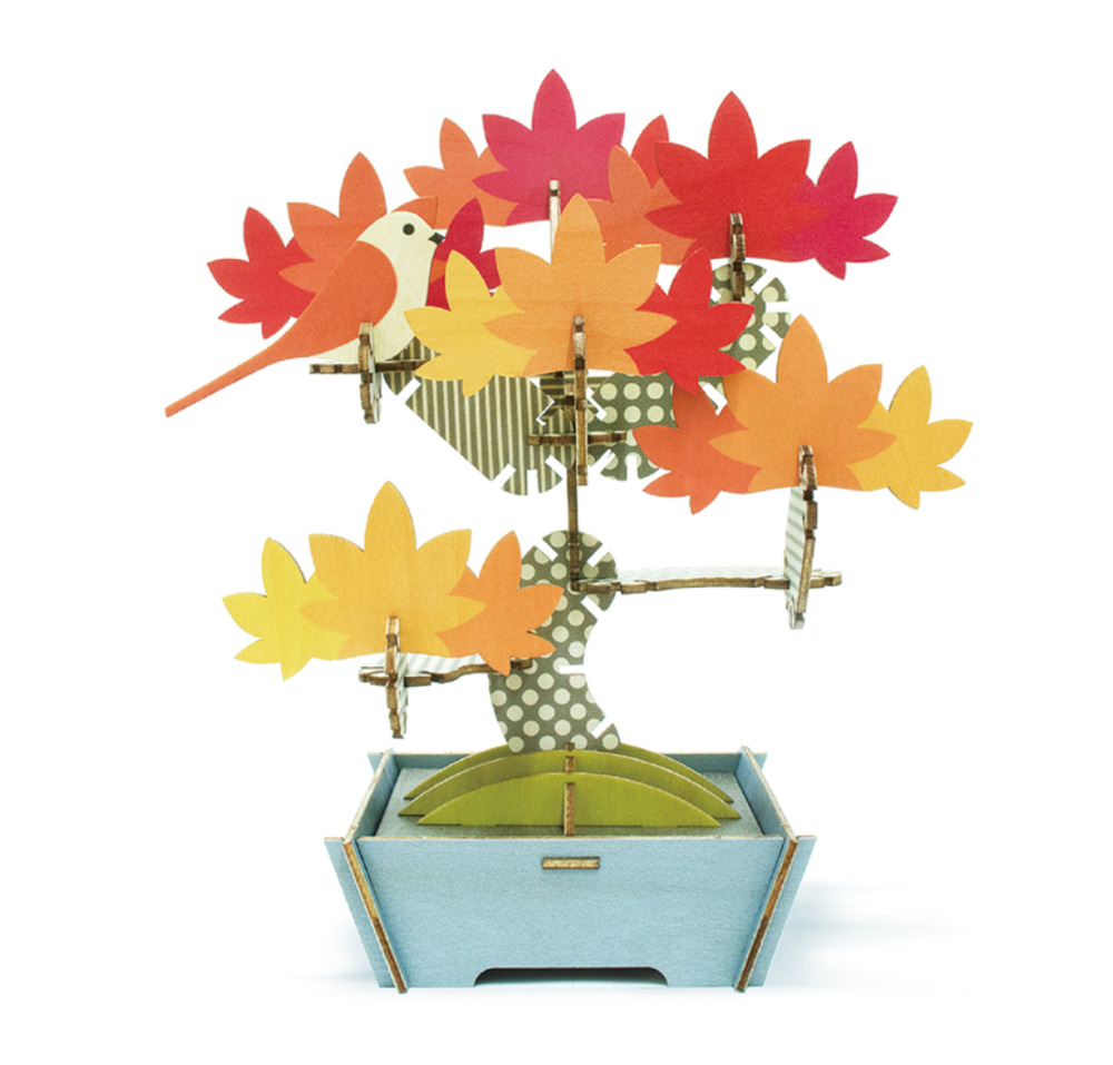 JAPANESE MAPLE BONSAI The Toy Box