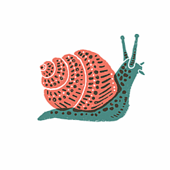 SNAIL TATTOO