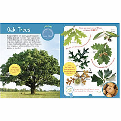 Backpack Explorer: Discovering Trees: What Will You Find?